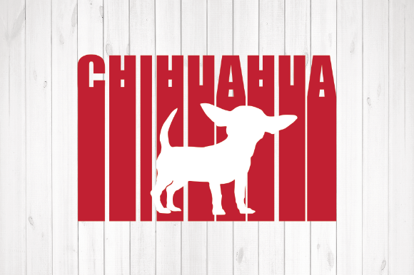Download Chihuahua - Chihuahua Collection