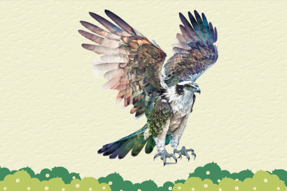 Download Custom Bird Digital Illustration Art - Digital Collection