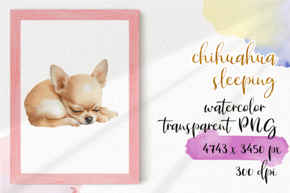 Download Chihuahua Sleeping Watercolour - Chihuahua Collection